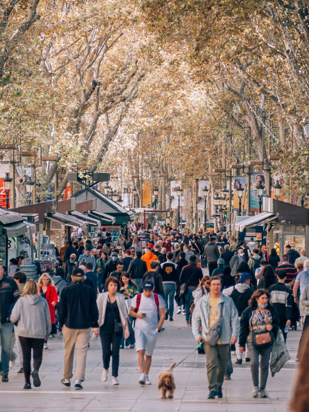 Lola Palmer Blog Travel The Best Things To Do In Barcelona La Rambla