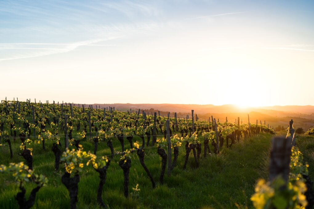 Lola Palmer Blog Travel 7 of the Best Destinations in Europe for a Weekend Break Bergerac France